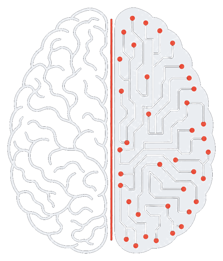 Icon of a brain seen from above. The left hemisphere is an outline with folds, the right hemisphere is solid with circuit traces and coral nodes, joined by a coral line down the middle.